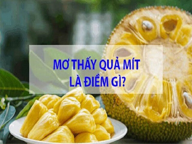 Bạn mơ thấy mình ăn mít là điềm gì?