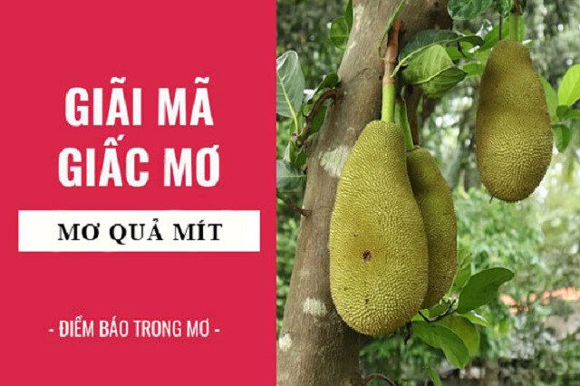 Giải mã giấc mơ khi thấy quả mít